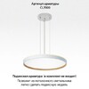 Миниатюра фото потолочный светодиодный светильник с пультом ду citilux etalon cl750500r | 220svet.ru